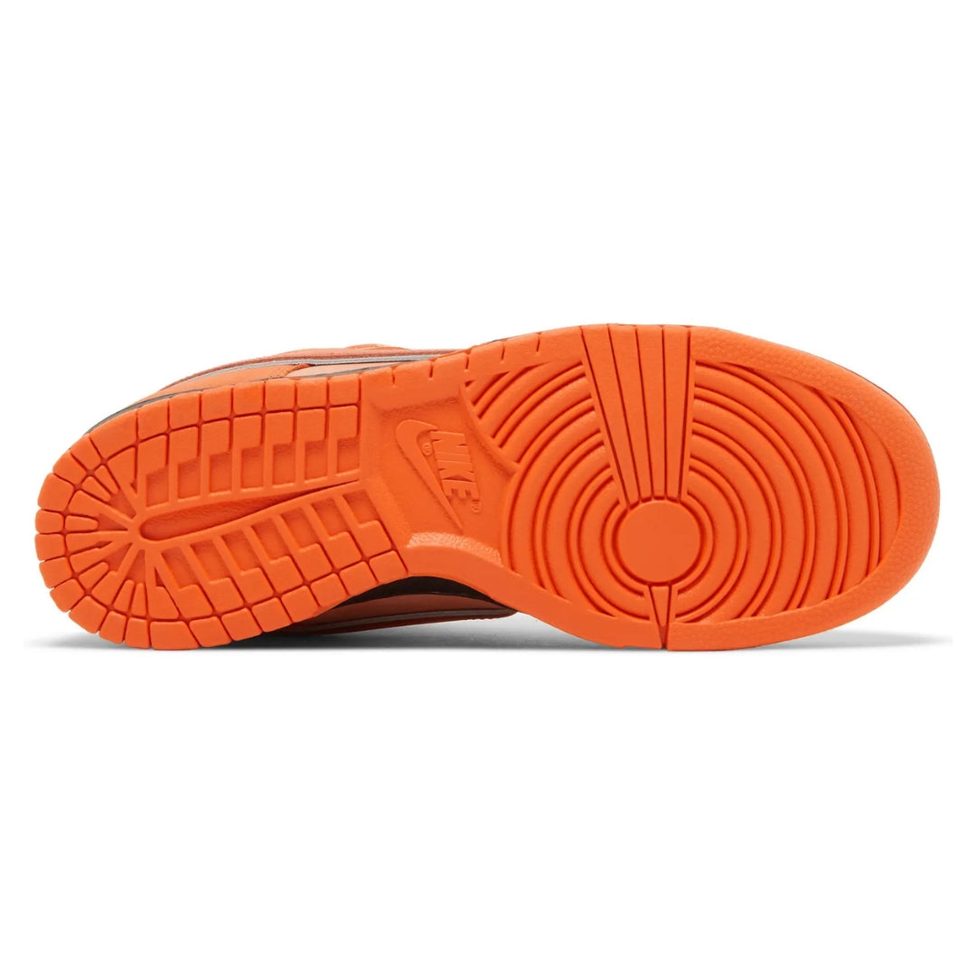Concepts x Dunk Low SB 'Orange Lobster' Special Box